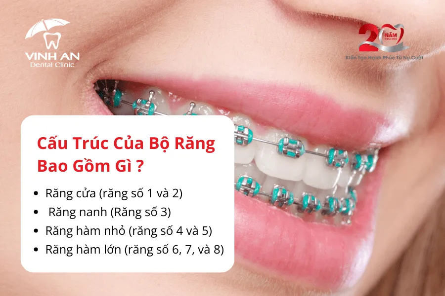 Mất Răng Có Niềng Răng được Không1