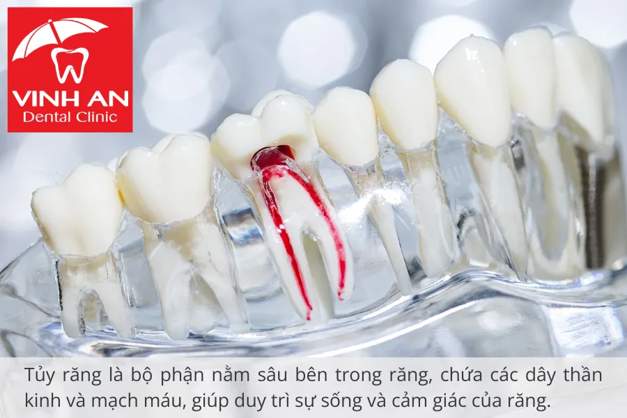 Nếu không được điều trị kịp thời, sẽ dẫn đến các triệu chứng nghiêm trọng